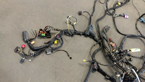 LAMBORGHINI GALLARDO SPYDER CENTRAL MAIN WIRING HARNESS OEM 407971135G