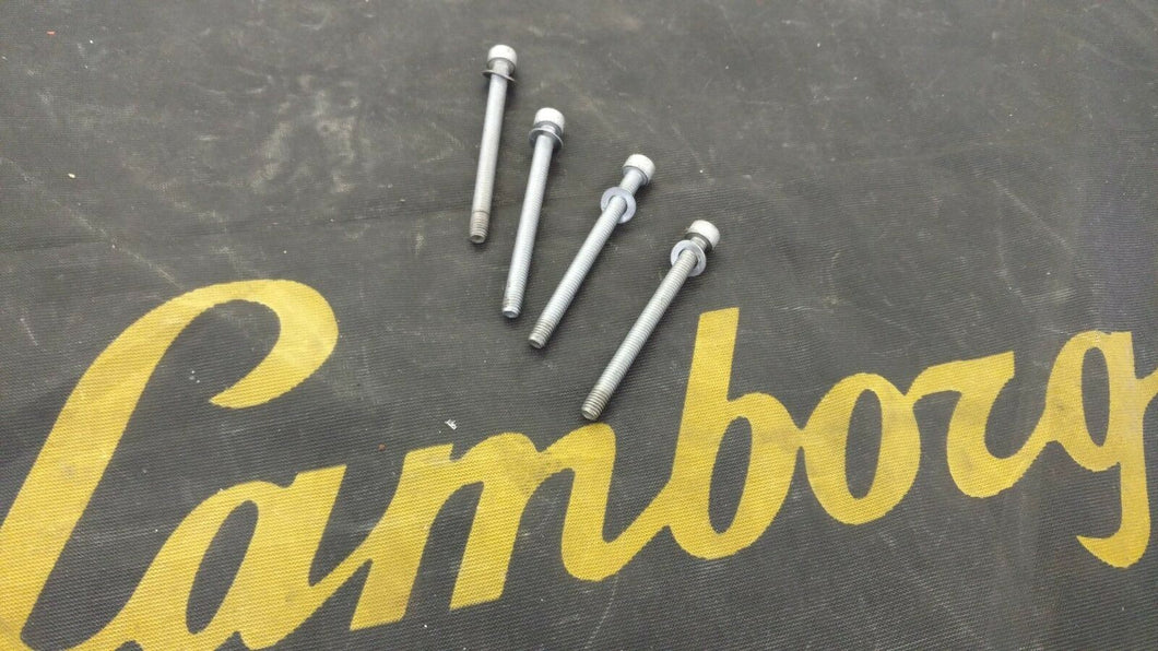 LAMBORGHINI MURCIELAGO THROTTLE BODY BOLTS OEM N10686901