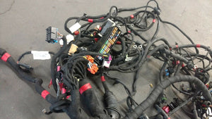 LAMBORGHINI GALLARDO MAIN BODY WIRING HARNESS OEM 401971135