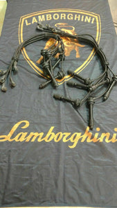 LAMBORGHINI DIABLO IGNITION SPARK PLUG WIRES OEM 006136341
