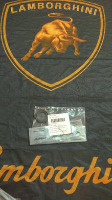 LAMBORGHINI DIABLO SE SV GT VT RING VITON 32x47x7 MM NEW OEM 008613206