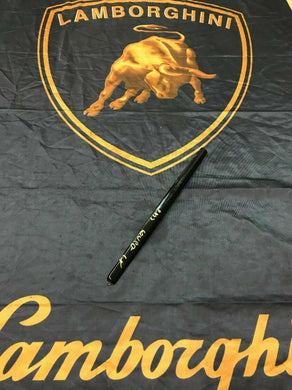 LAMBORGHINI MURCIELAGO LP640 PASSENGER RIGHT SIDE WINDOW MOLDING OEM 418845150