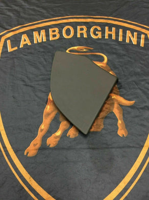 LAMBORGHINI MURCIELAGO FRONT DRIVER LEFT SIDE DOOR PANEL TRIM OEM 0072013682