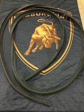 LAMBORGHINI MURCIELAGO LP640 670 COUPE DRIVER DOOR RUBBER GASKET OEM 418837500B