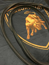 LAMBORGHINI MURCIELAGO LP640 670 COUPE DRIVER DOOR RUBBER GASKET OEM 418837500B