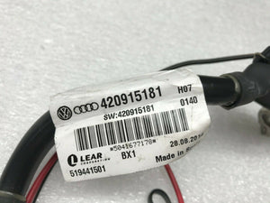 LAMBORGHINI HURACAN LP610 BATTERY MANAGEMENT WIRING HARNESS OEM 420915181