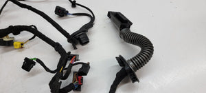 LAMBORGHINI HURACAN DRIVER LEFT SIDE DOOR WIRING HARNESS OEM 4T1971029