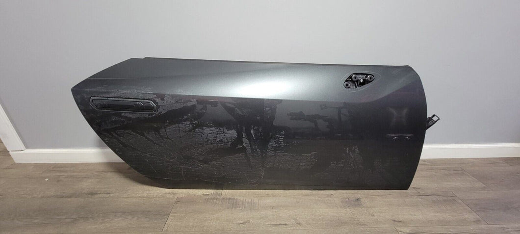 LAMBORGHINI HURACAN EVO PASSENGER RIGHT SIDE DOOR PANEL OEM 4T8831052F