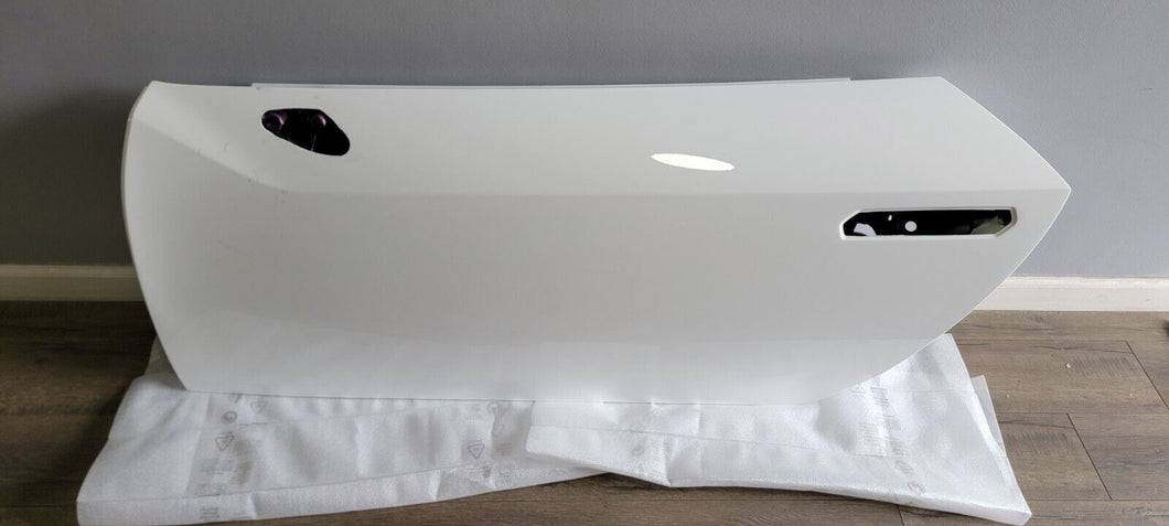 LAMBORGHINI HURACAN DRIVER LEFT SIDE DOOR PANEL OEM 4T8831051 LP610 LP580